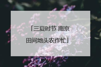 三夏时节 南京田间地头农作忙