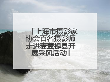 上海市摄影家协会百名摄影师走进麦盖提县开展采风活动
