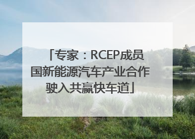 专家：RCEP成员国新能源汽车产业合作驶入共赢快车道