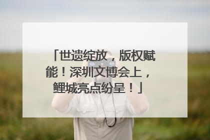 世遗绽放，版权赋能！深圳文博会上，鲤城亮点纷呈！
