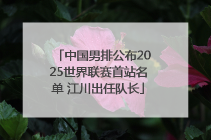 中国男排公布2025世界联赛首站名单 江川出任队长