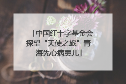中国红十字基金会探望“天使之旅”青海先心病患儿