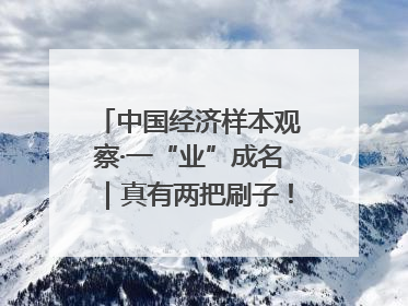 中国经济样本观察·一“业”成名｜真有两把刷子！“刷”出30亿级“颜值经济”