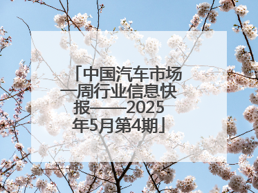 中国汽车市场一周行业信息快报——2025年5月第4期