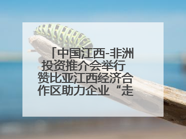 中国江西-非洲投资推介会举行 赞比亚江西经济合作区助力企业“走出去”