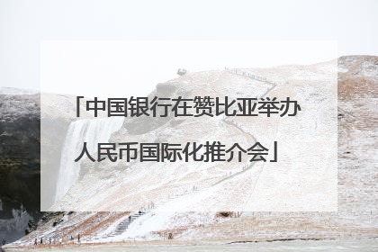中国银行在赞比亚举办人民币国际化推介会