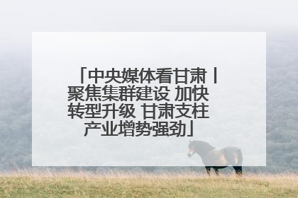 中央媒体看甘肃丨聚焦集群建设 加快转型升级 甘肃支柱产业增势强劲