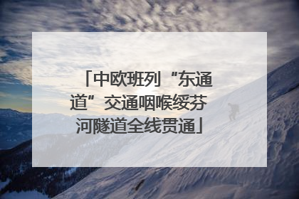 中欧班列“东通道”交通咽喉绥芬河隧道全线贯通