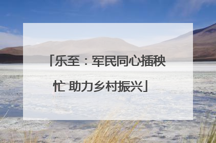 乐至：军民同心插秧忙 助力乡村振兴