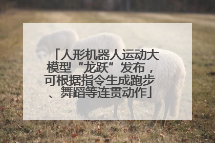 人形机器人运动大模型“龙跃”发布，可根据指令生成跑步、舞蹈等连贯动作