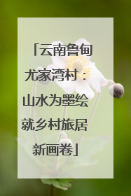 云南鲁甸尤家湾村：山水为墨绘就乡村旅居新画卷