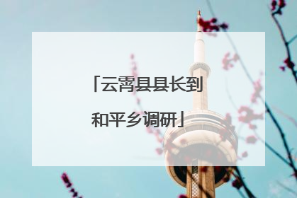 云霄县县长到和平乡调研