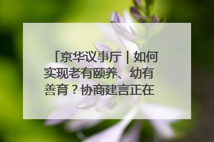 京华议事厅｜如何实现老有颐养、幼有善育？协商建言正在进行中……