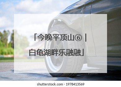 今晚平顶山⑥｜白龟湖畔乐融融
