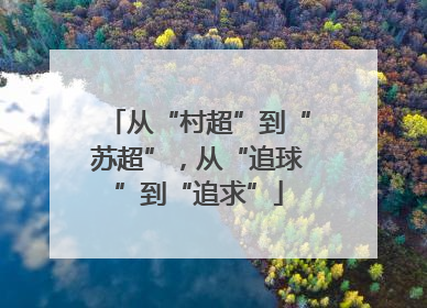 从“村超”到“苏超”，从“追球”到“追求”