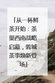 从一杯鲜茶开始：茶巢西南战略启幕，蓉城茶事焕新登场