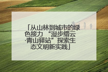 从山林到城市的绿色接力 “漫步缙云·青山驿站”探索生态文明新实践