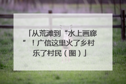从荒滩到“水上画廊”！广信这里火了乡村 乐了村民（图）