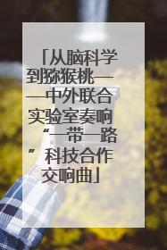 从脑科学到猕猴桃——中外联合实验室奏响“一带一路”科技合作交响曲