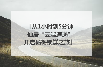 从1小时到5分钟 仙居“云端速递”开启杨梅锁鲜之旅