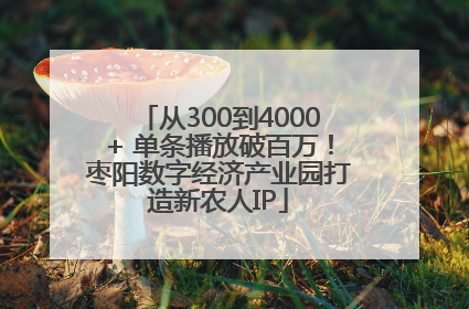 从300到4000+ 单条播放破百万！枣阳数字经济产业园打造新农人IP