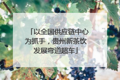 以全国供应链中心为抓手，贵州新茶饮发展弯道超车