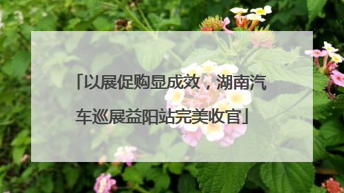 以展促购显成效，湖南汽车巡展益阳站完美收官