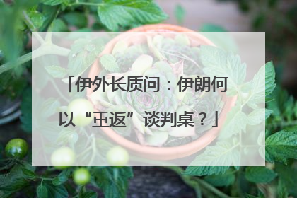 伊外长质问：伊朗何以“重返”谈判桌？