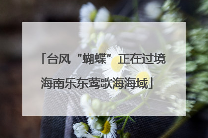 台风“蝴蝶”正在过境海南乐东莺歌海海域