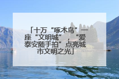 十万“啄木鸟”一座“文明城”，“爱泰安随手拍”点亮城市文明之光