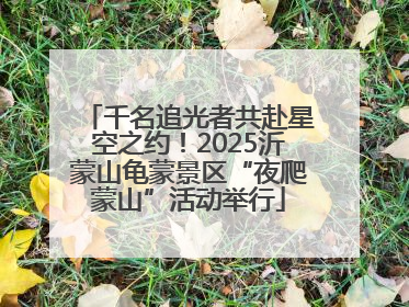 千名追光者共赴星空之约！2025沂蒙山龟蒙景区“夜爬蒙山”活动举行