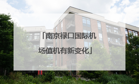 南京禄口国际机场值机有新变化