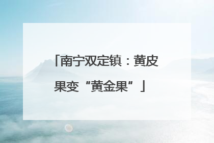 南宁双定镇：黄皮果变“黄金果”