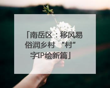 南岳区：移风易俗润乡村 “村”字IP绘新篇