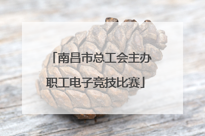南昌市总工会主办职工电子竞技比赛