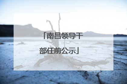 南昌领导干部任前公示