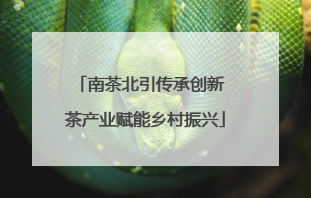 南茶北引传承创新 茶产业赋能乡村振兴