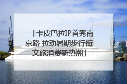 卡皮巴拉IP首秀南京路 拉动暑期步行街文旅消费新热潮