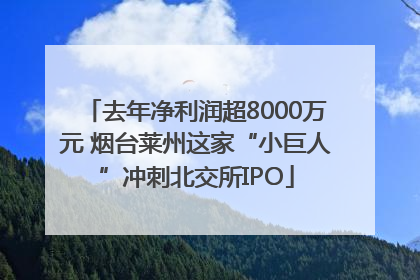 去年净利润超8000万元 烟台莱州这家“小巨人”冲刺北交所IPO