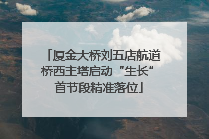 厦金大桥刘五店航道桥西主塔启动“生长” 首节段精准落位