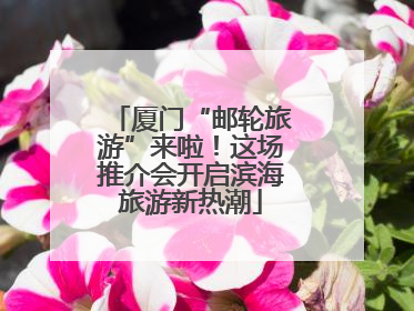 厦门“邮轮旅游”来啦！这场推介会开启滨海旅游新热潮