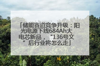 储能赛道竞争升级：阳光电源下线684Ah大电芯新品，“136号文”后行业将怎么走