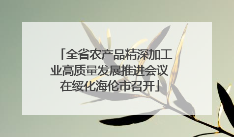 全省农产品精深加工业高质量发展推进会议在绥化海伦市召开