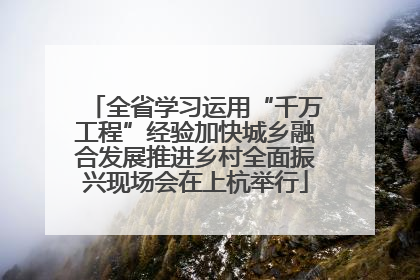 全省学习运用“千万工程”经验加快城乡融合发展推进乡村全面振兴现场会在上杭举行