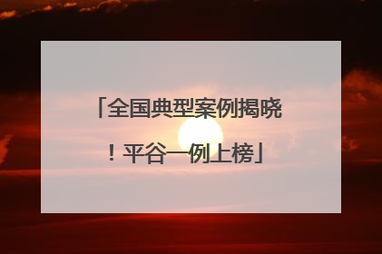 全国典型案例揭晓！平谷一例上榜