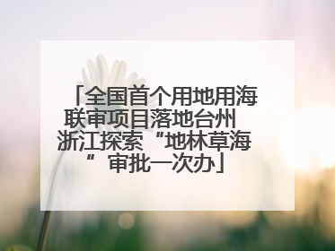全国首个用地用海联审项目落地台州 浙江探索“地林草海”审批一次办