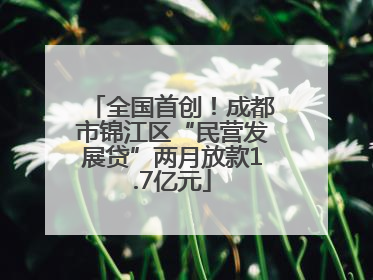 全国首创！成都市锦江区“民营发展贷”两月放款1.7亿元