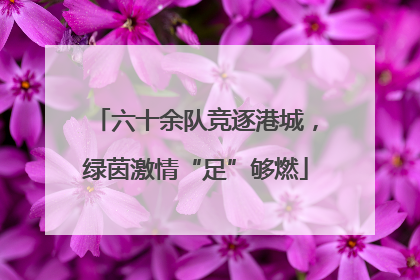 六十余队竞逐港城，绿茵激情“足”够燃