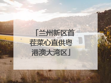 兰州新区首茬菜心直供粤港澳大湾区
