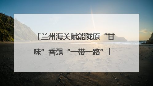 兰州海关赋能陇原“甘味”香飘“一带一路”